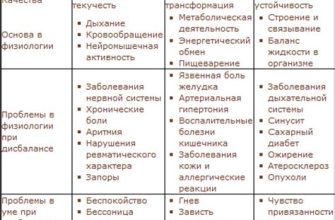 Питта диета для похудения