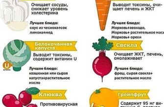 Полезная диета для организма