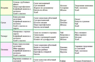 Ледяная диета: принципы новомодного способа похудеть и примерное меню на день