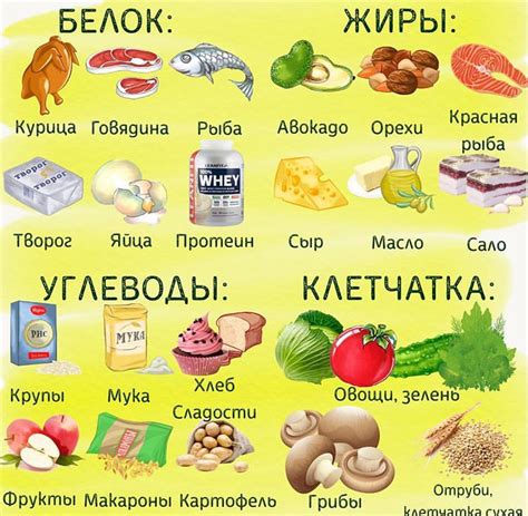 Диета белок и клетчатка