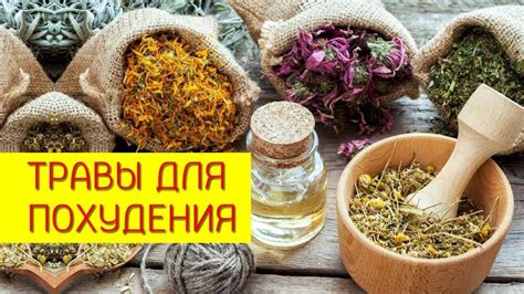 Народные средства для быстрого похудения и очищения организма