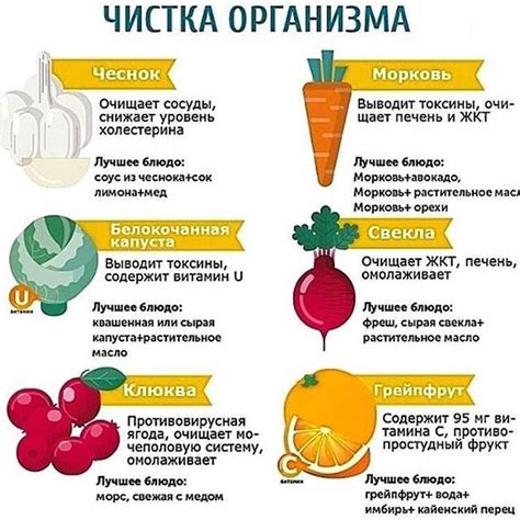 Полезная диета для организма
