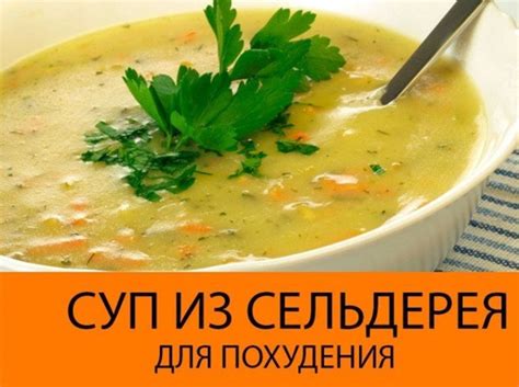Сельдерейная диета для похудения